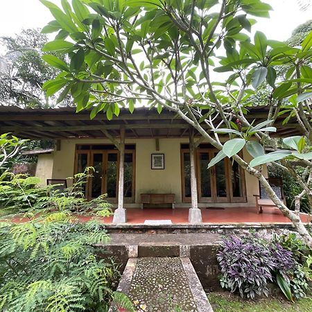 Carik Tangis Boutique Homestay Jatiluwih Εξωτερικό φωτογραφία