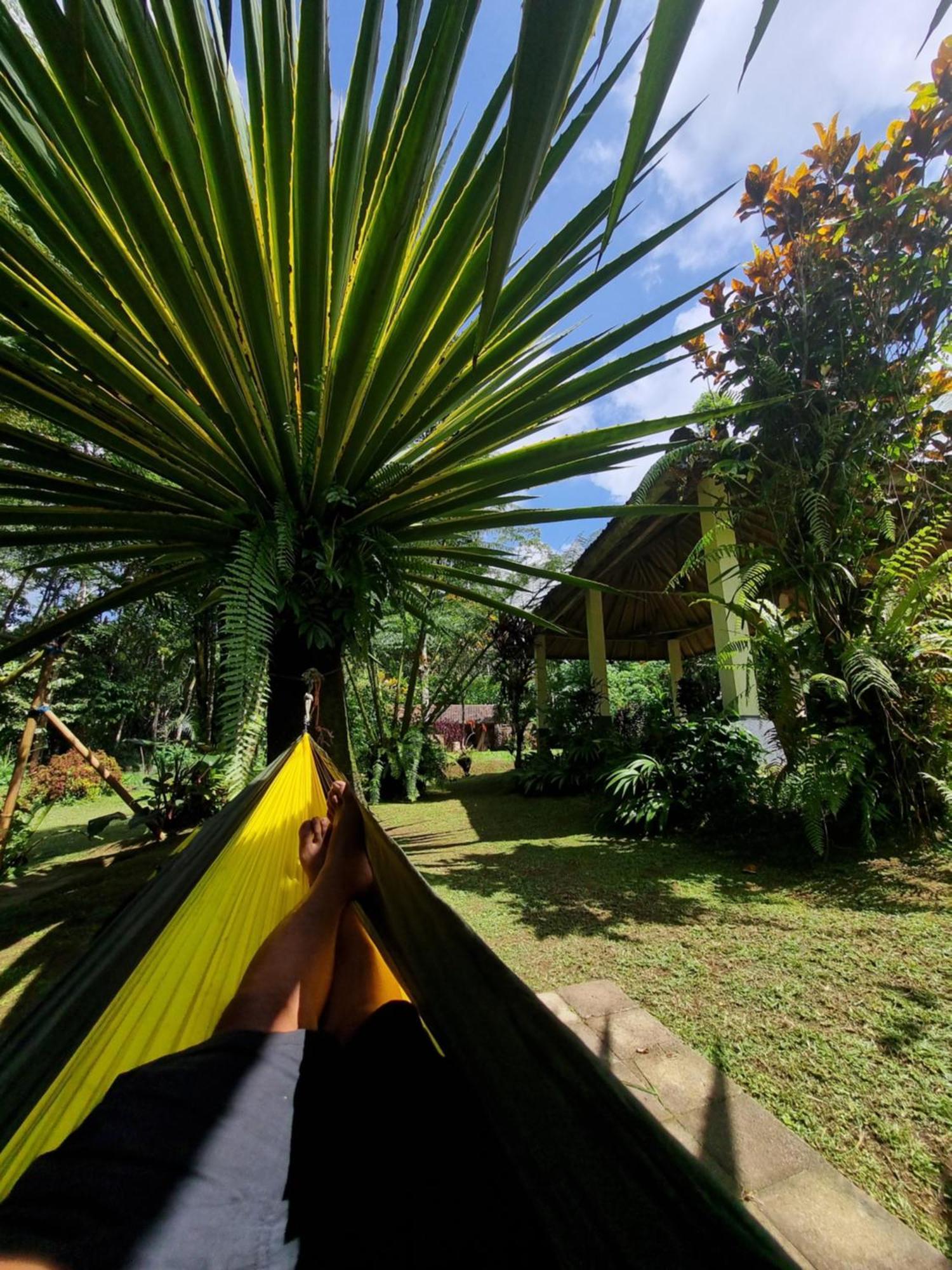 Carik Tangis Boutique Homestay Jatiluwih Εξωτερικό φωτογραφία