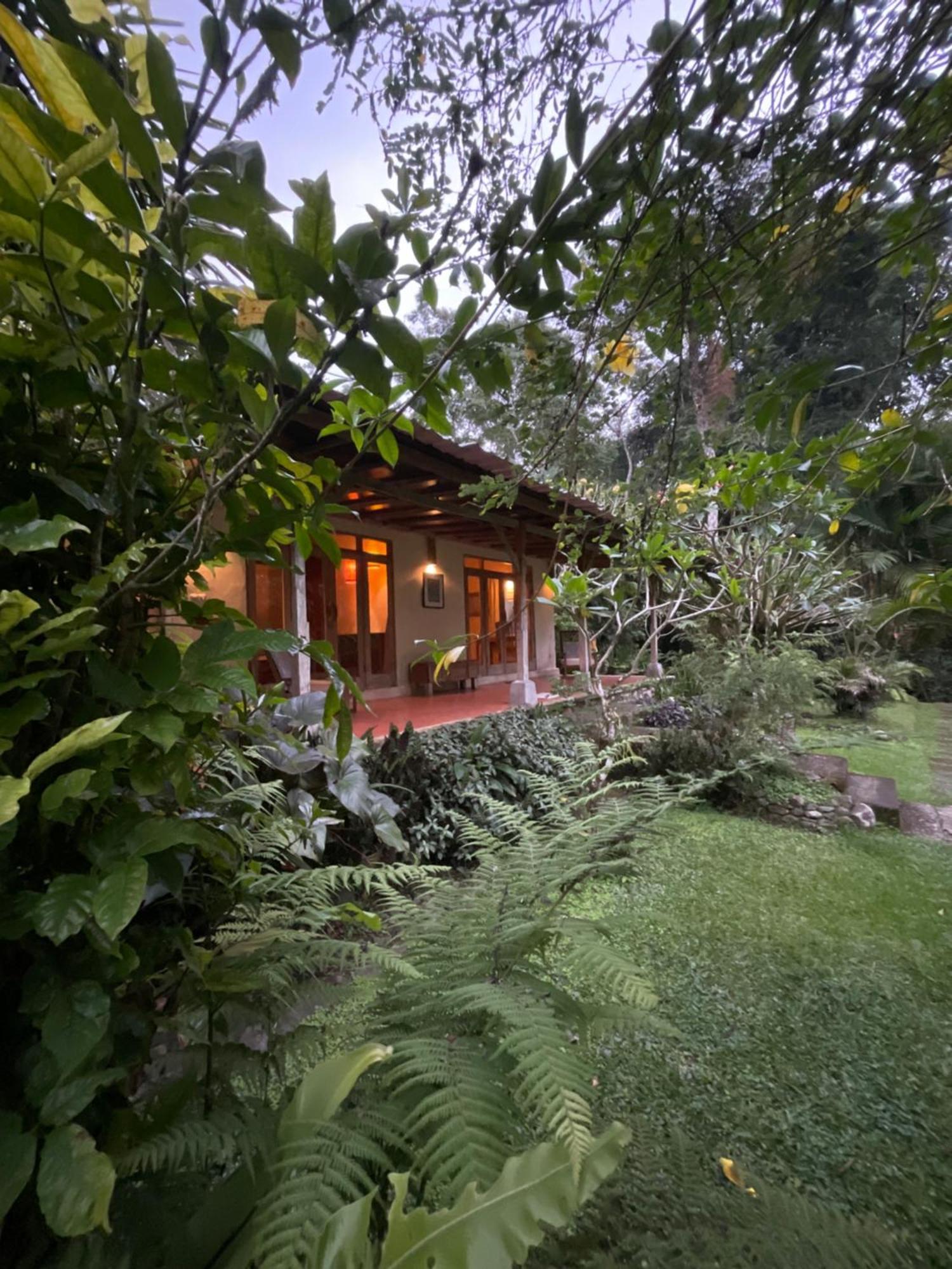 Carik Tangis Boutique Homestay Jatiluwih Εξωτερικό φωτογραφία